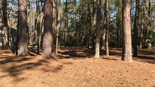 93 Summerton Drive thumbnail image 4