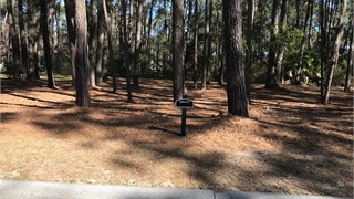 93 Summerton Drive thumbnail image 5