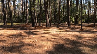 93 Summerton Drive thumbnail image 6