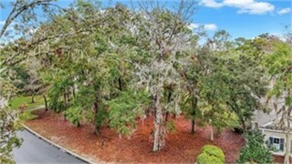 260 Bamberg Drive thumbnail image 7