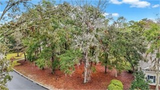 260 Bamberg Drive thumbnail image 8