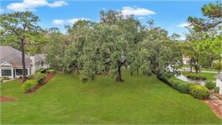 260 Bamberg Drive thumbnail image 15