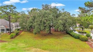 260 Bamberg Drive thumbnail image 16