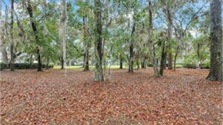 260 Bamberg Drive thumbnail image 24