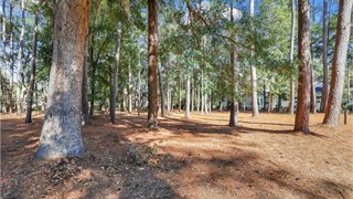 117 Summerton Drive thumbnail image 3