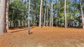 117 Summerton Drive thumbnail image 4