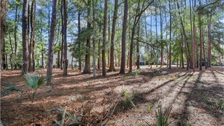 117 Summerton Drive thumbnail image 6