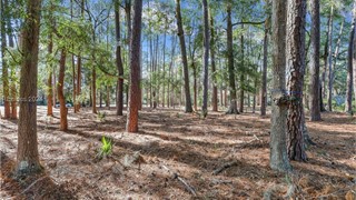 117 Summerton Drive thumbnail image 7