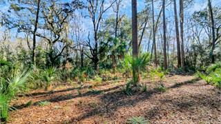 27 Hunting Ct thumbnail image 14