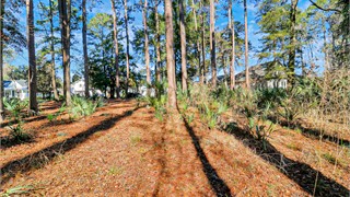 27 Hunting Ct thumbnail image 16