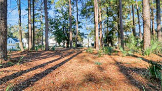 27 Hunting Ct thumbnail image 15