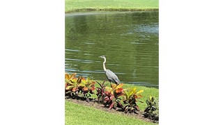 62 Cumberland Drive thumbnail image 29