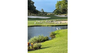 62 Cumberland Drive thumbnail image 30