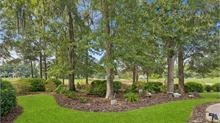 255 Bamberg Drive thumbnail image 60