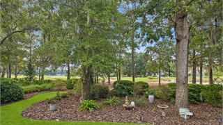 255 Bamberg Drive thumbnail image 61