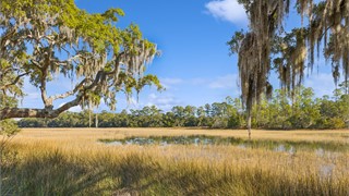 87 Cumberland Drive thumbnail image 36