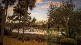 87 Cumberland Drive thumbnail image 44