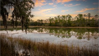 87 Cumberland Drive thumbnail image 45