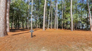 117 Summerton Drive thumbnail image 5