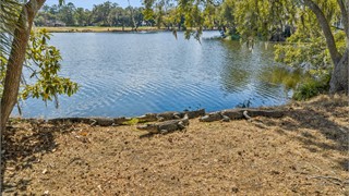 4 Cooper Court thumbnail image 128