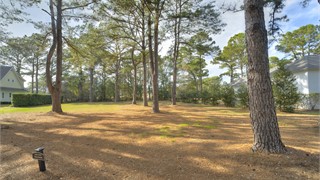 323 Bamberg Drive thumbnail image 3