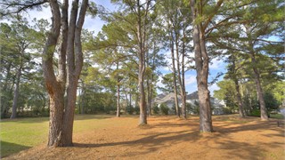 323 Bamberg Drive thumbnail image 4