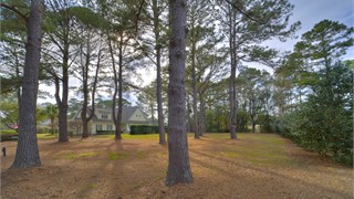 323 Bamberg Drive thumbnail image 5