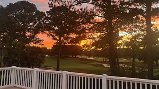 321 Bamberg Drive thumbnail image 43