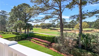 321 Bamberg Drive thumbnail image 46