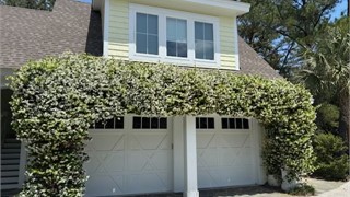 321 Bamberg Drive thumbnail image 52