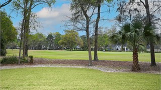 9 Belmeade Drive thumbnail image 44