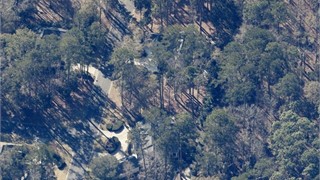 43 Newberry Court thumbnail image 2