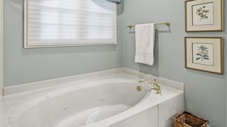 23 Lexington Drive thumbnail image 31